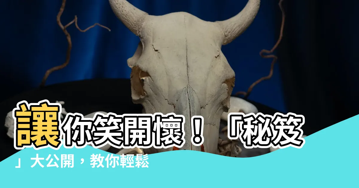 【秘笈】讓你笑開懷！「秘笈」大公開，教你輕鬆搞定考試