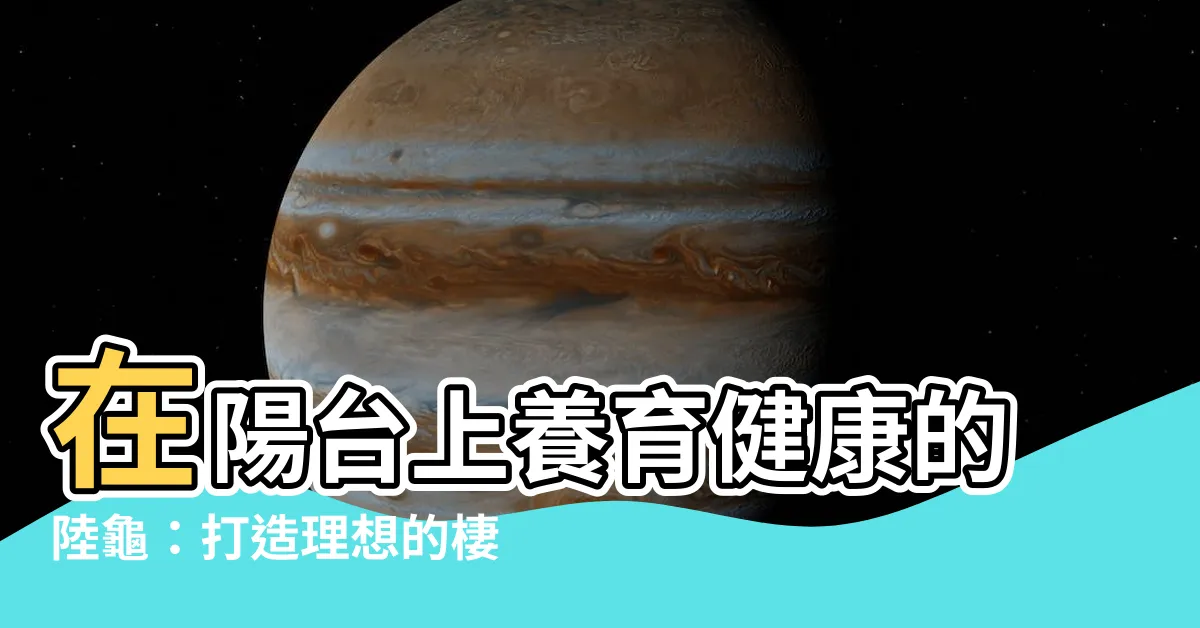 【陽台養陸龜】在陽台上養育健康的陸龜：打造理想的棲息環境
