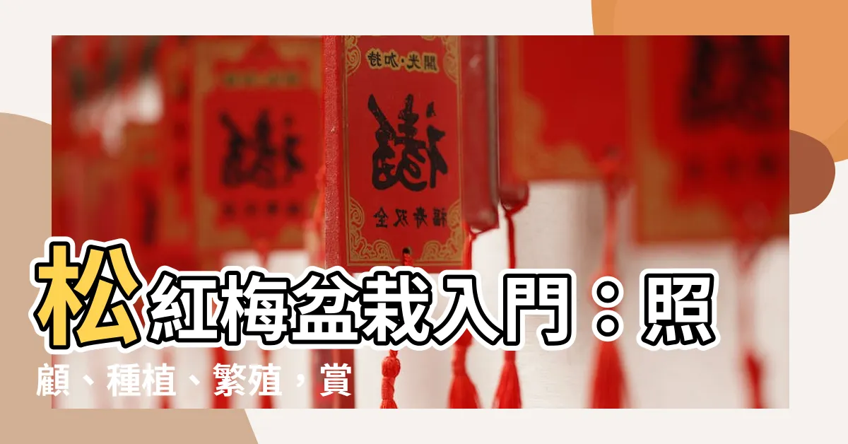 【松紅梅盆栽】松紅梅盆栽入門：照顧、種植、繁殖，賞花有秘訣！