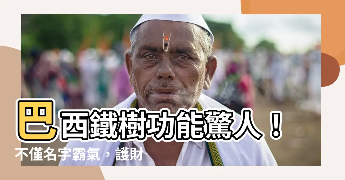 【巴西鐵樹 功用】巴西鐵樹功能驚人！不僅名字霸氣，護財鎮宅效用更超乎想像