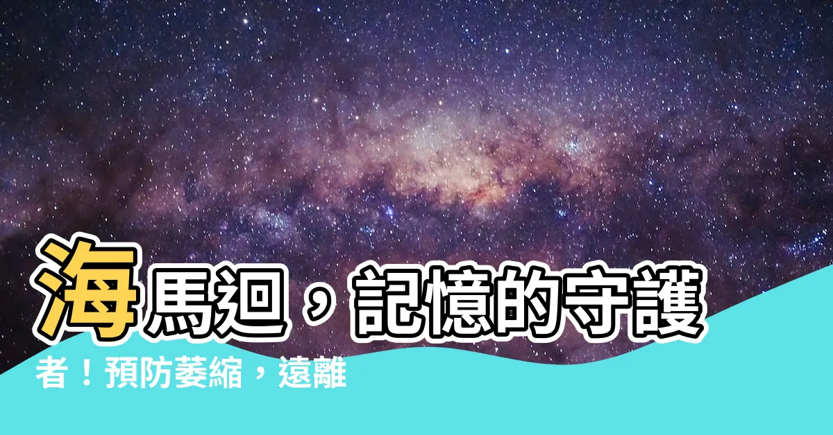 【海馬迴作用】海馬迴，記憶的守護者！預防萎縮，遠離失智危機