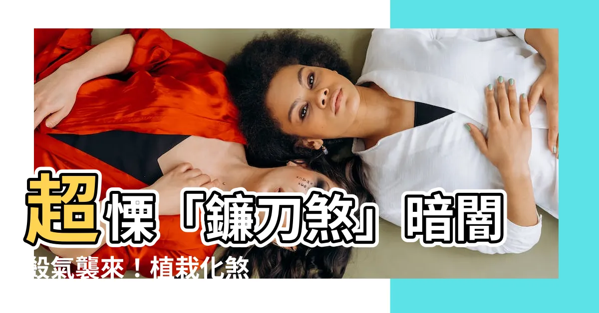 【鐮刀煞 風水】超慄「鐮刀煞」暗闇殺氣襲來！植栽化煞秒驅兇