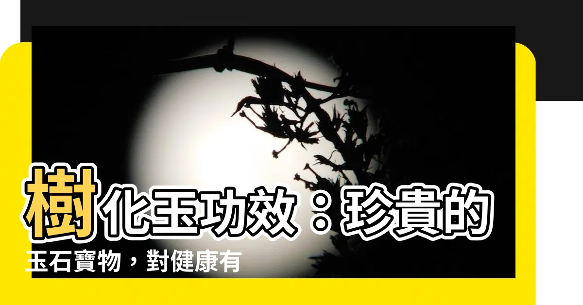 【樹玉功效】樹化玉功效：珍貴的玉石寶物，對健康有益