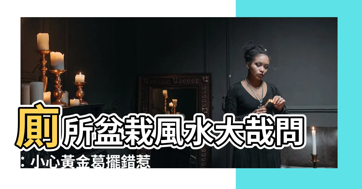 【廁所盆栽風水】廁所盆栽風水大哉問：小心黃金葛擺錯惹官司！