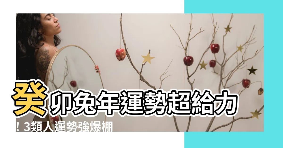 【癸卯兔年出生】癸卯兔年運勢超給力！3類人運勢強爆棚，快來看看你是哪一類！