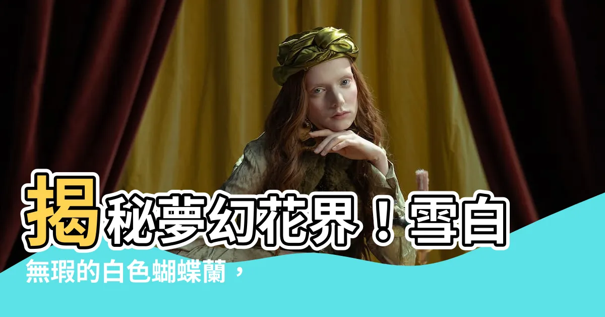 【白色蝴蝶蘭】揭秘夢幻花界！雪白無瑕的白色蝴蝶蘭，演繹雅緻之美