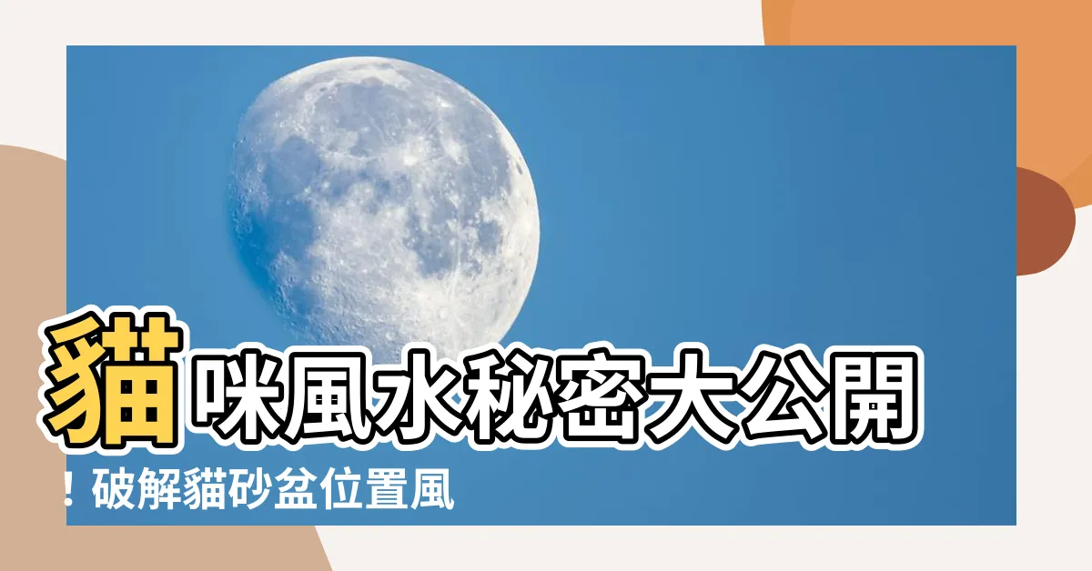 【貓砂盆位置風水】貓咪風水秘密大公開！破解貓砂盆位置風水，財神爺找上門！