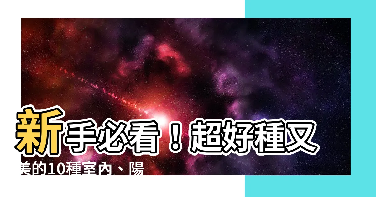 【什麼花比較好種】新手必看！超好種又美的10種室內、陽台花草
