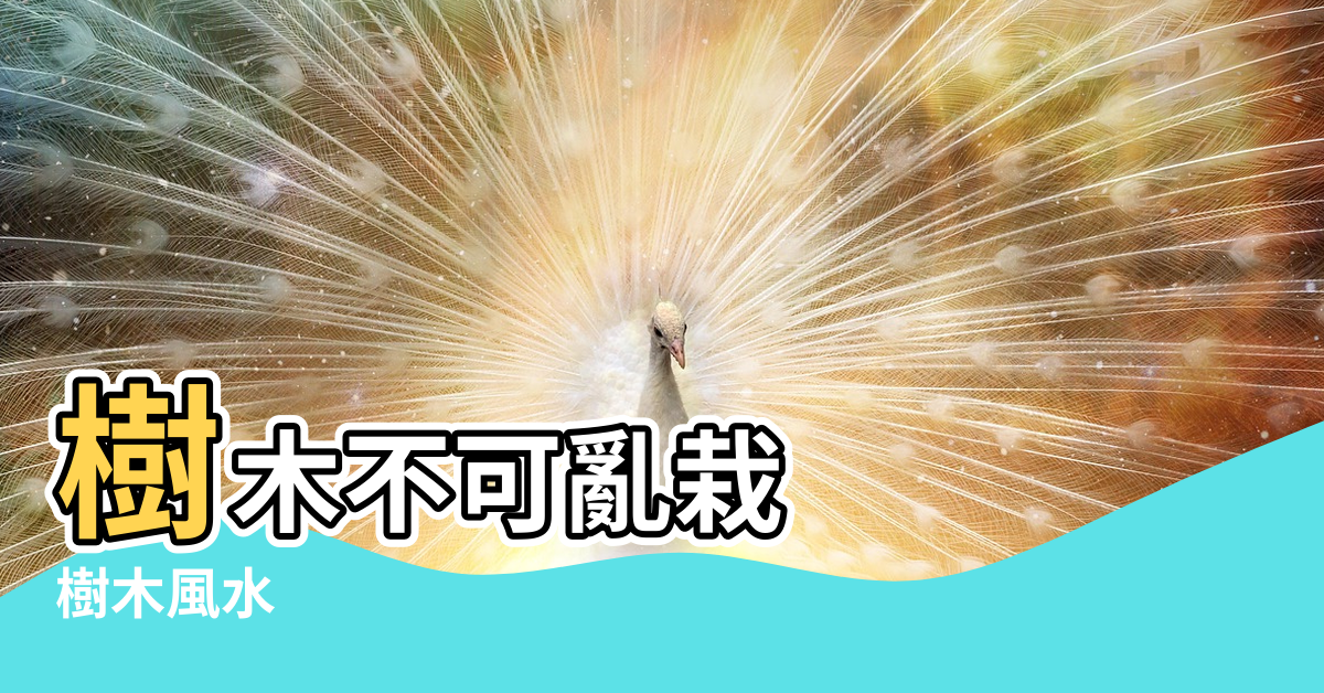 【樹木風水學】樹木不可亂栽 |樹木風水 |門前有這16種樹 |