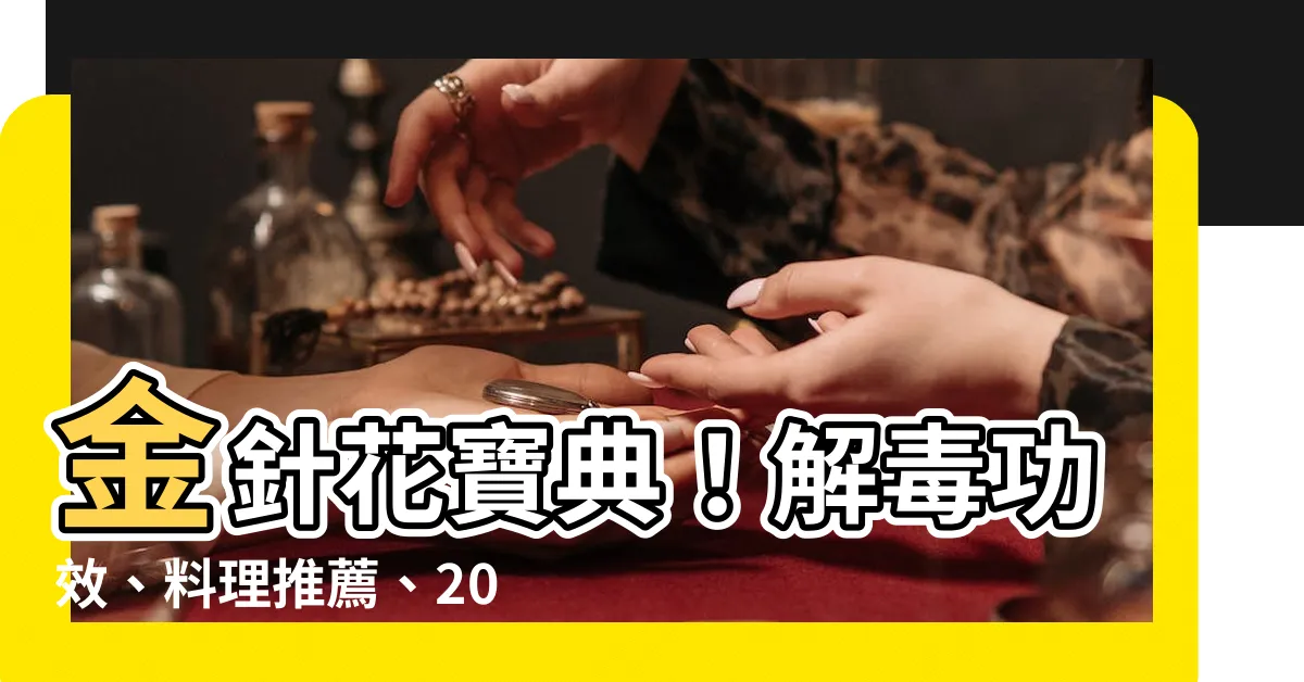 【金針花】金針花寶典！解毒功效、料理推薦、2024全台花季景點都在這！