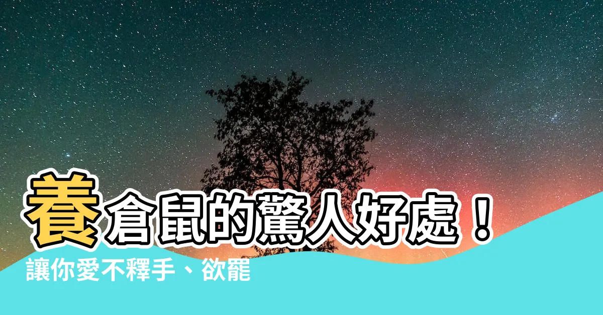 【養倉鼠的好處】養倉鼠的驚人好處！讓你愛不釋手、欲罷不能