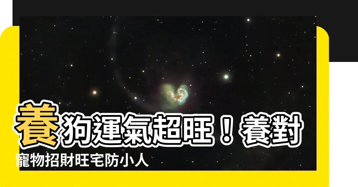【養狗運氣】養狗運氣超旺！養對寵物招財旺宅防小人