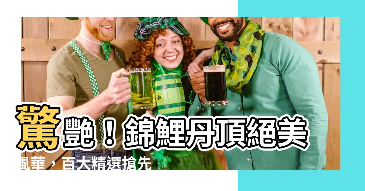 【錦鯉丹頂】驚艷！錦鯉丹頂絕美風華，百大精選搶先看！
