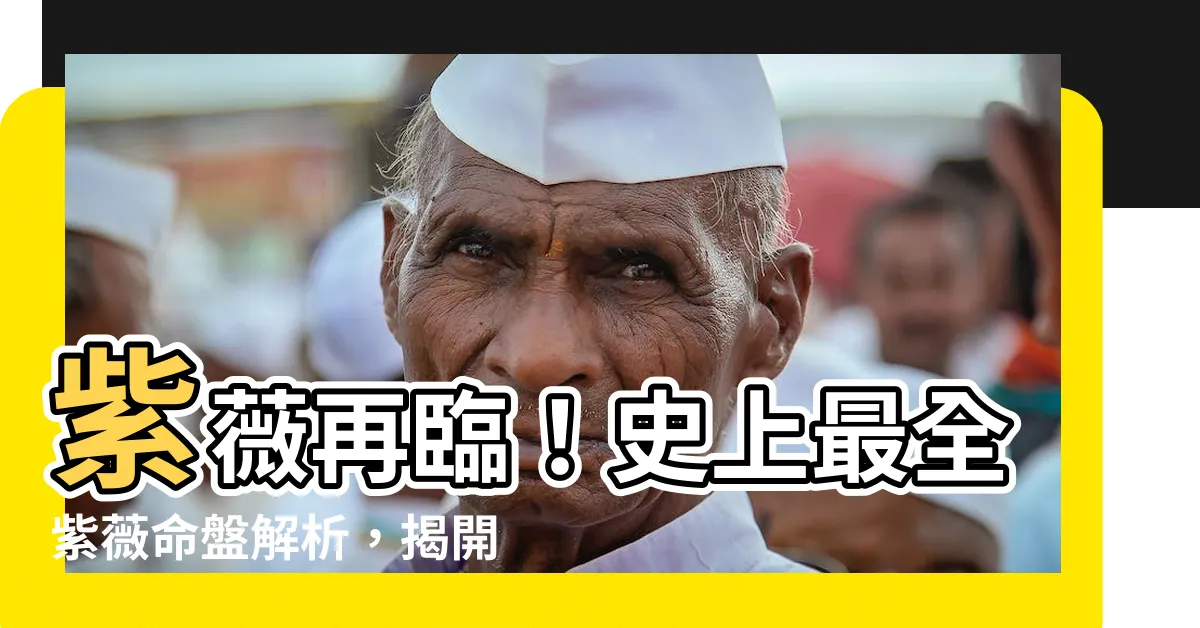 【紫薇】紫薇再臨！史上最全紫薇命盤解析，揭開你的前世今生！