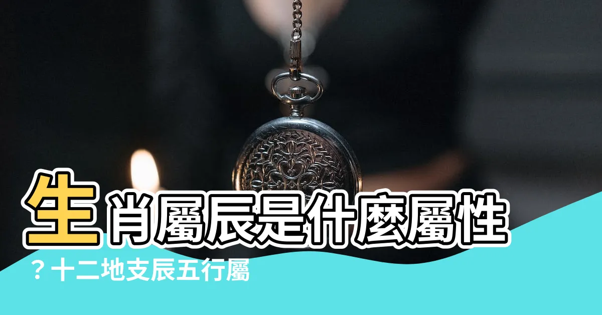 【辰 屬性】生肖屬辰是什麼屬性？十二地支辰五行屬什麼？