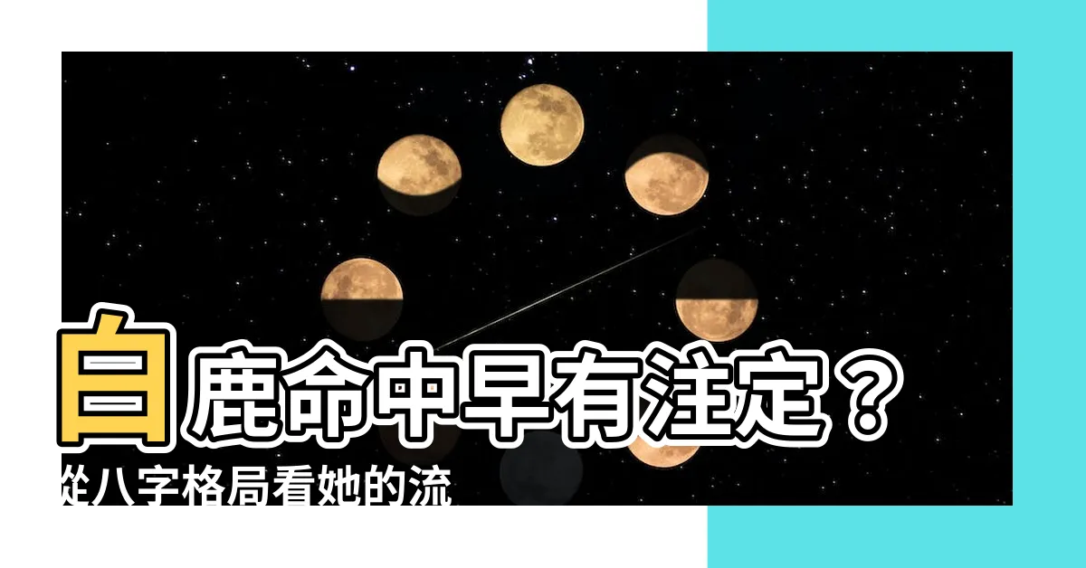 【白鹿 八字】白鹿命中早有註定？從八字格局看她的流量之路