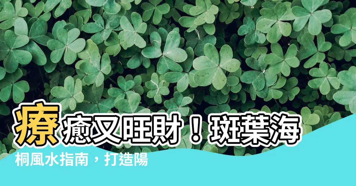 【斑葉海桐風水】療癒又旺財！斑葉海桐風水指南，打造陽台綠意好運到