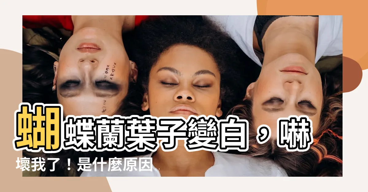 【蝴蝶蘭葉子變白】蝴蝶蘭葉子變白，嚇壞我了！是什麼原因造成的？