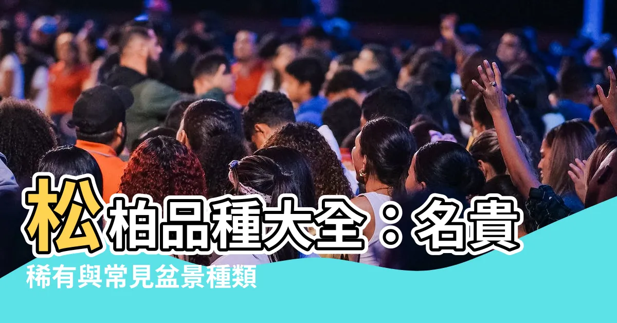 【松柏品種】松柏品種大全：名貴稀有與常見盆景種類揭秘