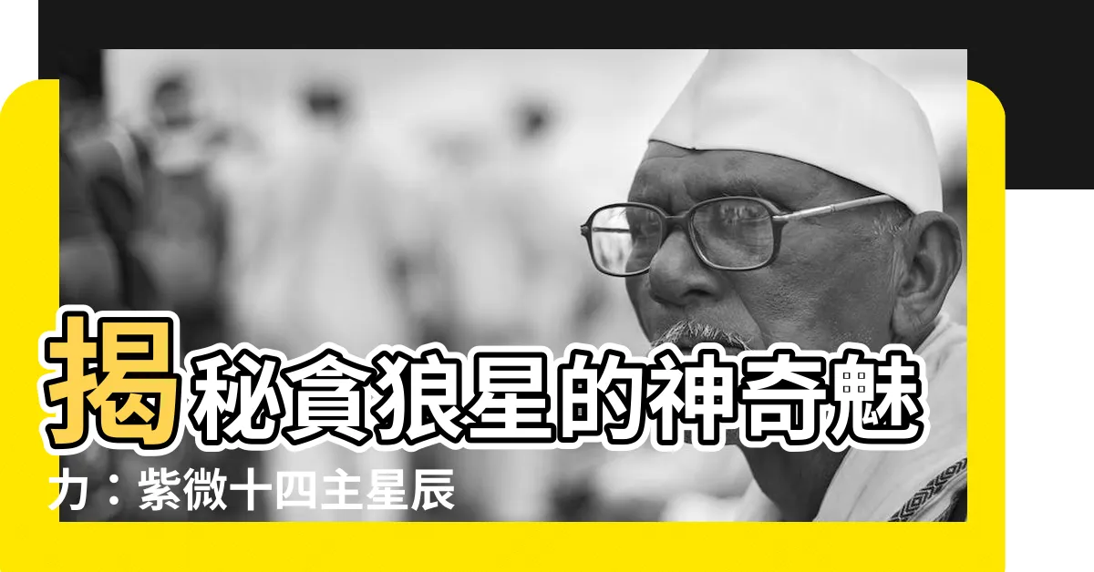【貪狼星】揭秘貪狼星的神奇魅力：紫微十四主星辰中的璀璨耀眼者