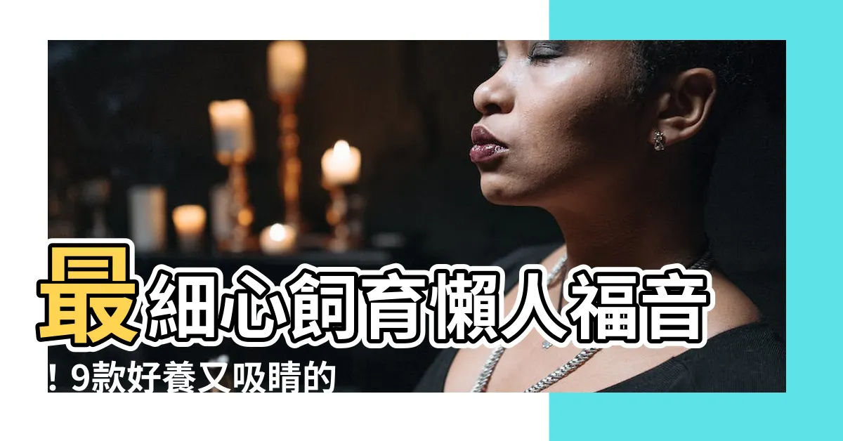 【最好養的植物】最細心飼育懶人福音！9款好養又吸睛的綠色好夥伴