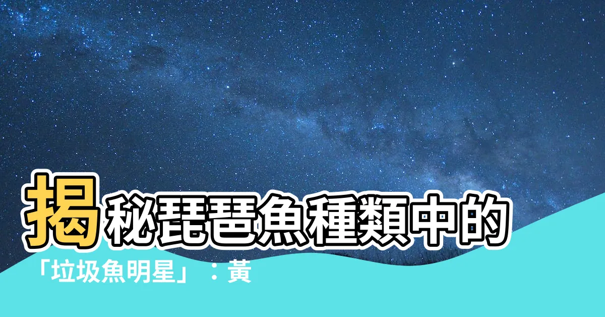 【琵琶魚種類】揭秘琵琶魚種類中的「垃圾魚明星」：黃色花紋的深海奇觀