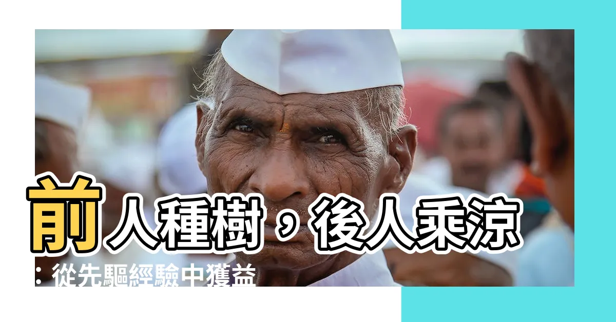 【前人種樹後人】前人種樹，後人乘涼：從先驅經驗中獲益良多的智慧結晶