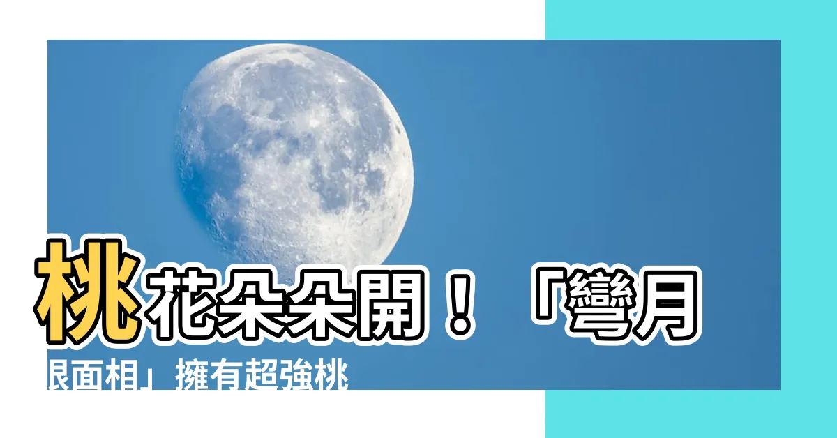 【彎月眼面相】桃花朵朵開！「彎月眼面相」擁有超強桃花運，笑起來電暈眾生