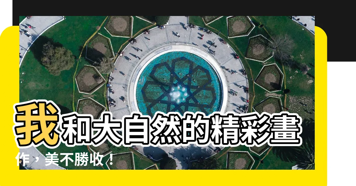 【我與大自然圖畫】我和大自然的精彩畫作，美不勝收！