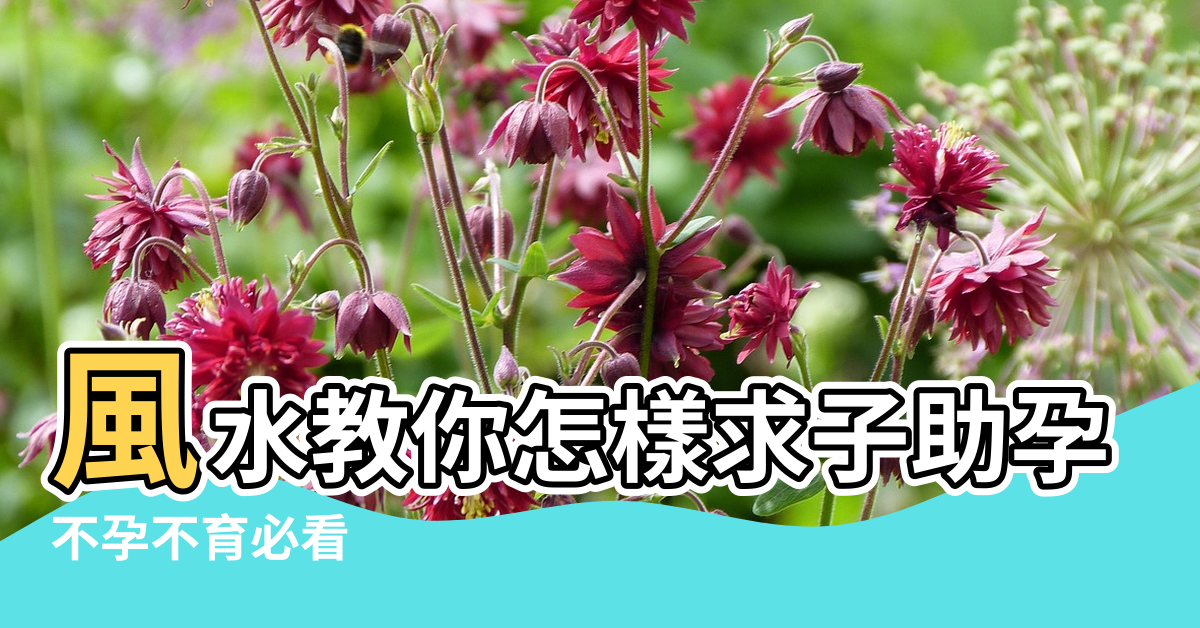 【風水不好不孕】風水教你怎樣求子助孕 |不孕不育必看 |導致不易懷孕的風水原因 |