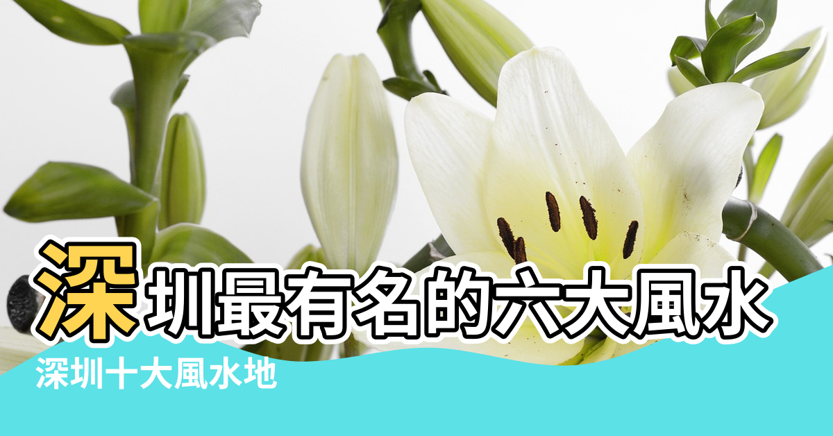 【深圳最旺的風水樓盤】深圳最有名的六大風水寶地和四大邪地 |深圳十大風水地 |深圳城市風水詳細解密 |