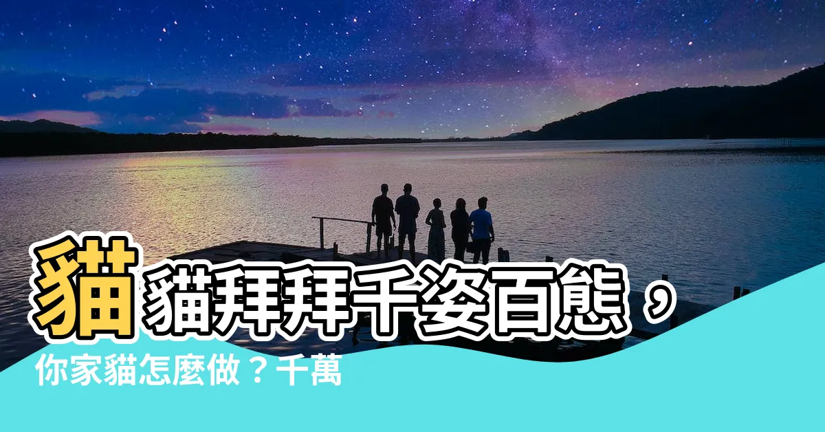 【貓 拜拜】貓貓拜拜千姿百態，你家貓怎麼做？千萬人點出背後意義令人震撼