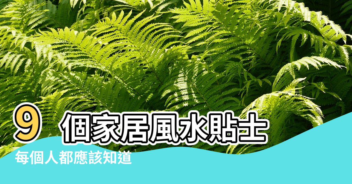 【家居風水有什麼小常識】9個家居風水貼士 |每個人都應該知道 |讓你好運滾滾來 |