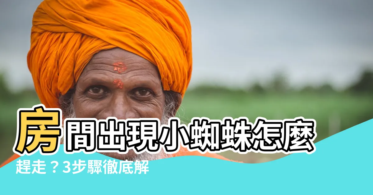 【房間一直出現小蜘蛛】房間出現小蜘蛛怎麼趕走？3步驟徹底解決困擾！