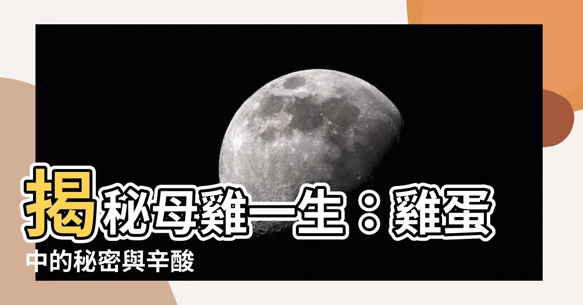 【雞的一生】揭秘母雞一生：雞蛋中的秘密與辛酸