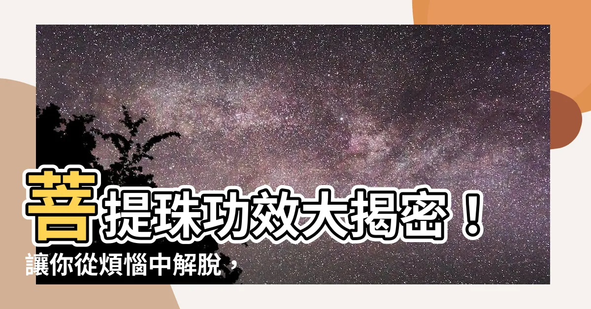 【菩提珠功效】菩提珠功效大揭密！讓你從煩惱中解脱，走向平靜與智慧！