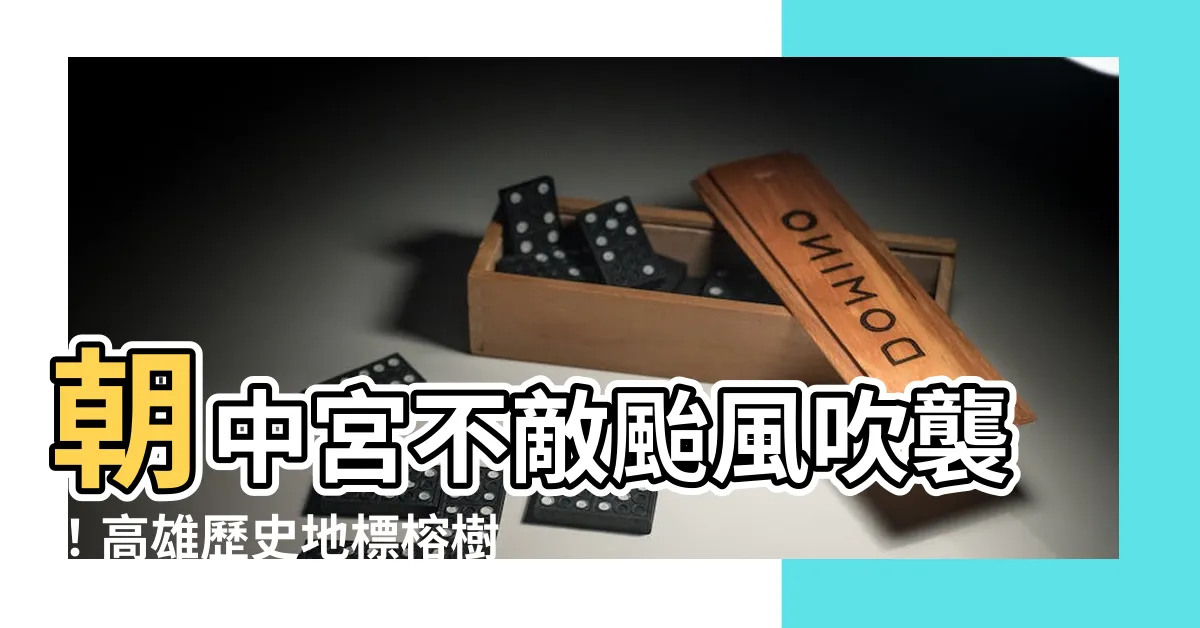 【朝中宮】朝中宮不敵颱風吹襲！高雄歷史地標榕樹倒塌