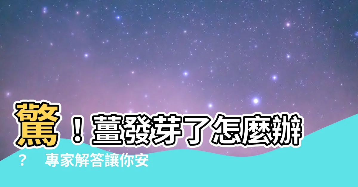 【薑發芽怎麼辦】驚！薑發芽了怎麼辦？　專家解答讓你安心下肚