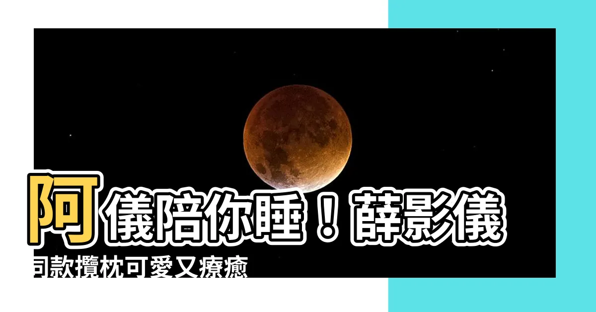 【薜影儀攬枕】阿儀陪你睡！薛影儀同款攬枕可愛又療癒