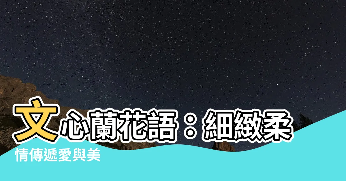 【文心蘭花語】文心蘭花語：細緻柔情傳遞愛與美