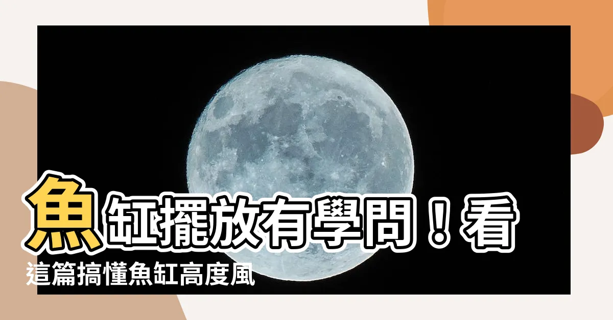 【魚缸高度】魚缸擺放有學問！看這篇搞懂魚缸高度風水，提升財運和好運