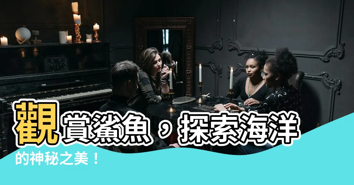 【觀賞鯊魚】觀賞鯊魚，探索海洋的神秘之美！