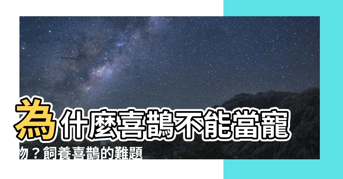 【喜鵲 飼養】為什麼喜鵲不能當寵物？飼養喜鵲的難題大公開！