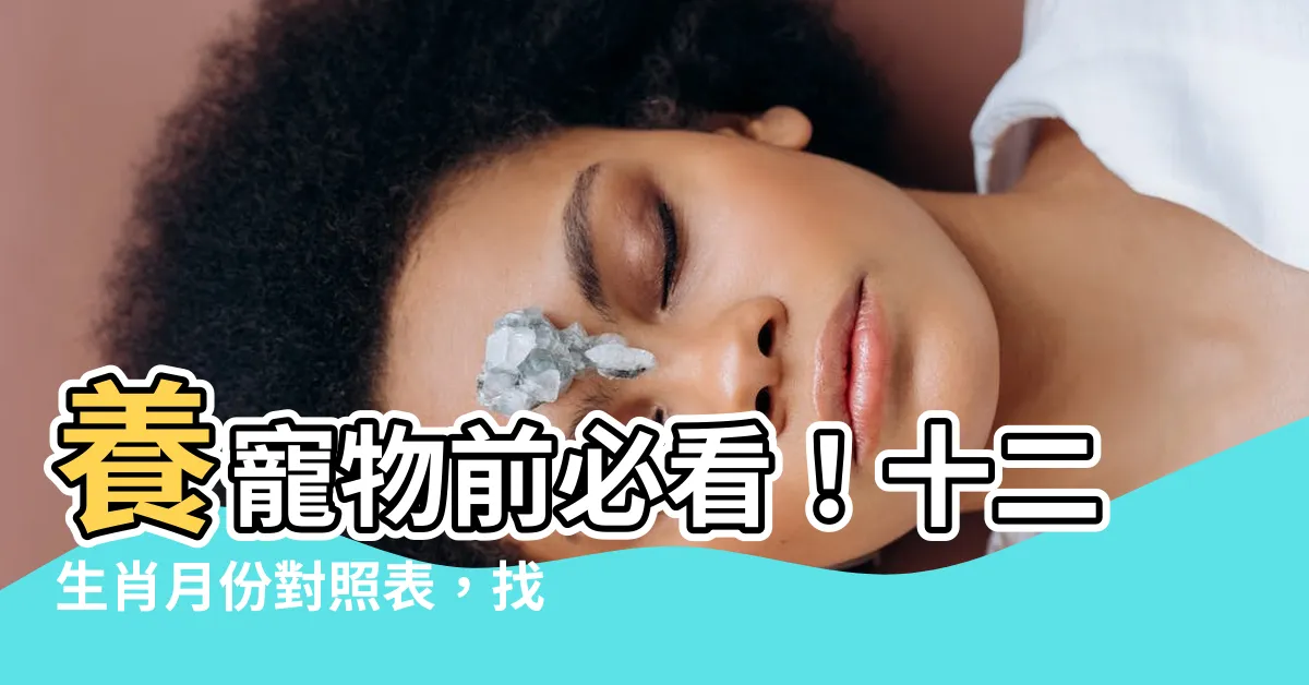【十二生肖月份】養寵物前必看！十二生肖月份對照表，找出你的最佳毛小孩