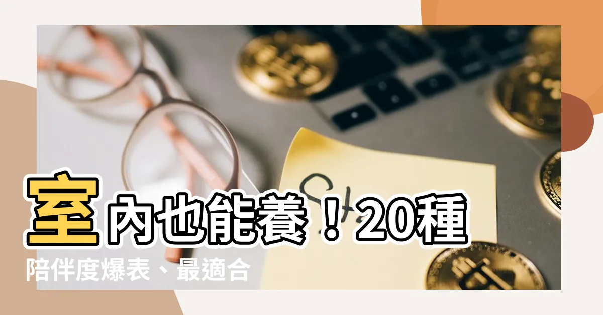 【什麼動物可以養】室內也能養！20種陪伴度爆表、最適合養在房間的寵物