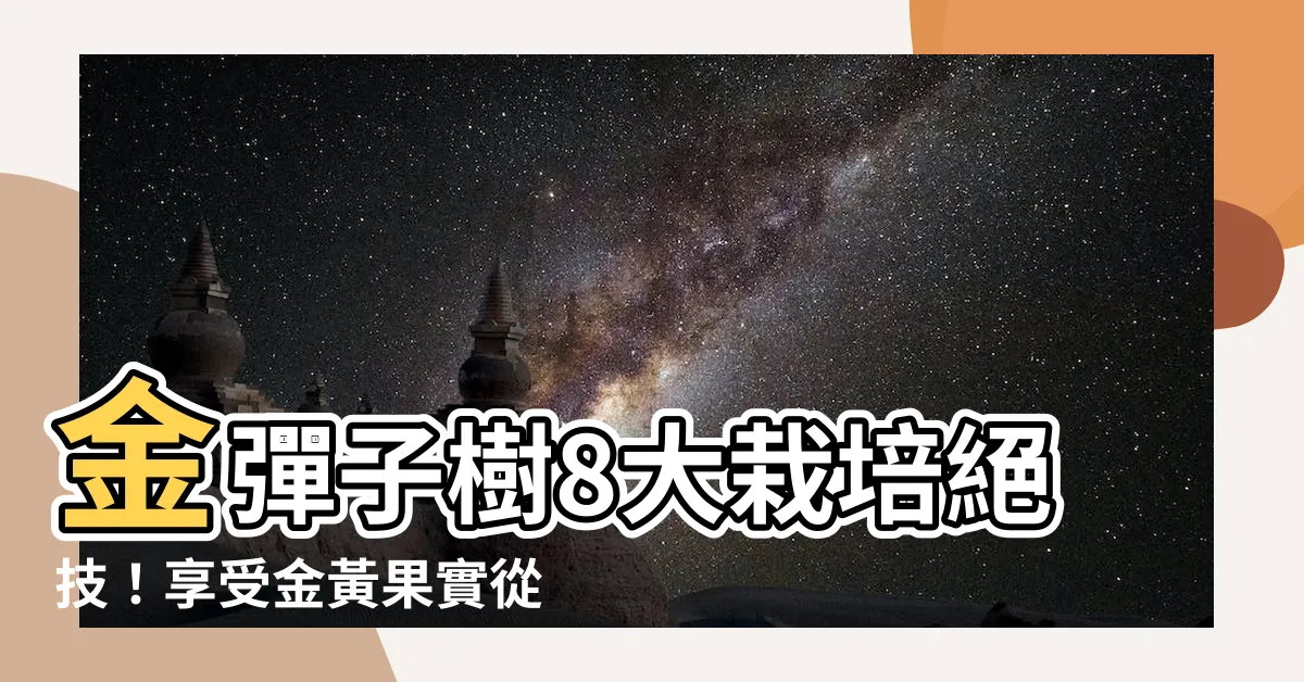 【金彈子樹】金彈子樹8大栽培絕技！享受金黃果實從10月到隔年春