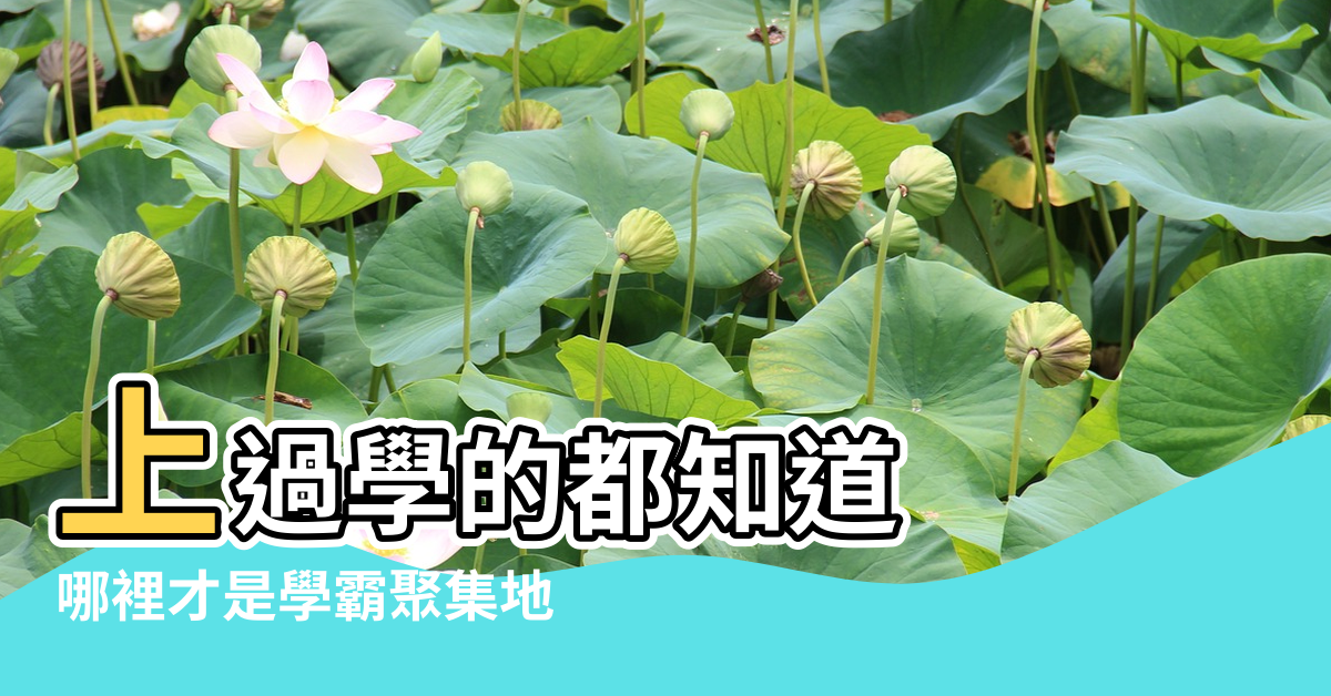 【教室的風水坐什麼位置】上過學的都知道 |哪裡才是學霸聚集地 |快來看看你是不是坐在風水寶座上了 |