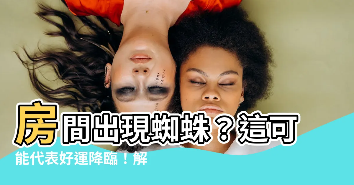 【房間出現蜘蛛】房間出現蜘蛛？這可能代表好運降臨！解讀家裡來蜘蛛的喜事徵兆