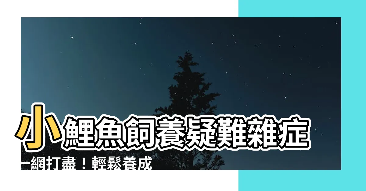 【小鯉魚飼養】小鯉魚飼養疑難雜症一網打盡！輕鬆養成水族箱中耀眼小明星