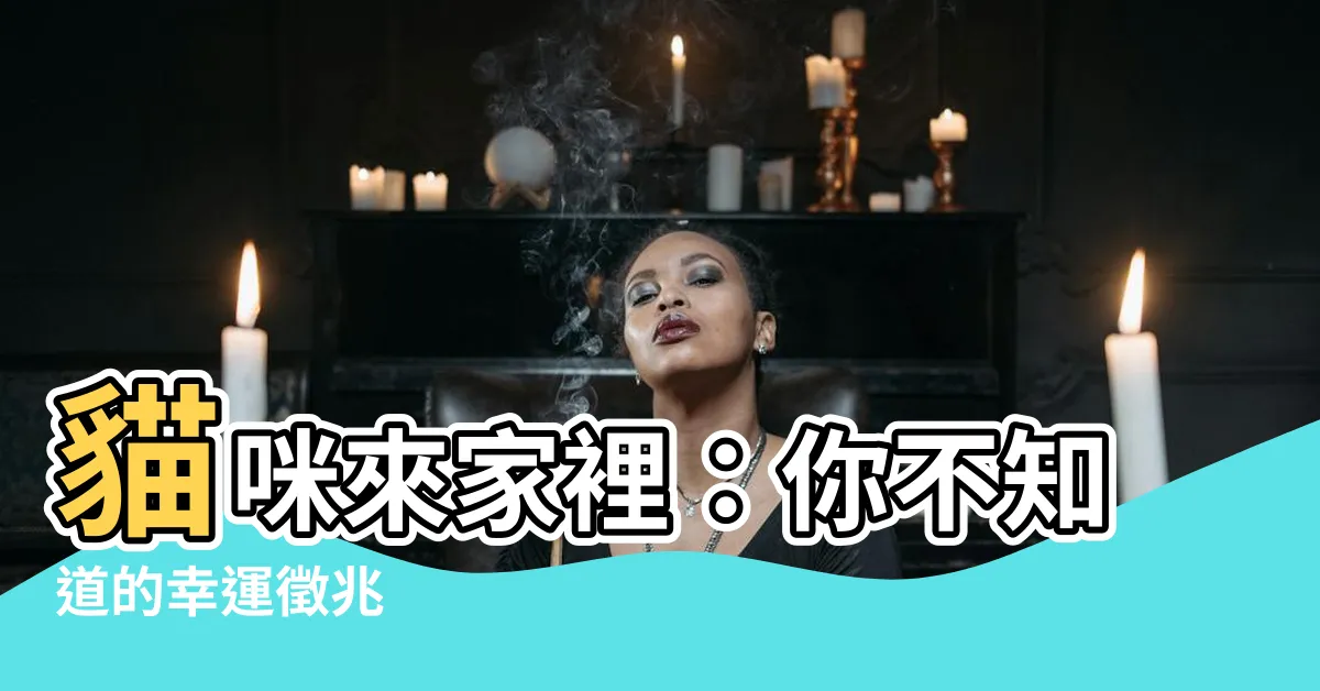 【貓咪來家裡】貓咪來家裡：你不知道的幸運徵兆